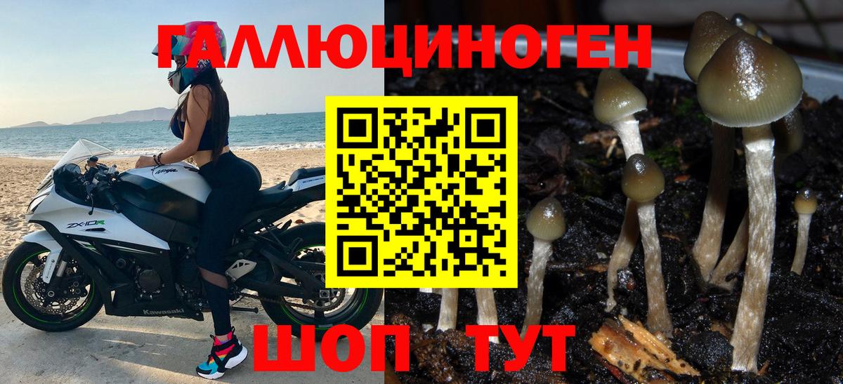 Псилоцибиновые грибы MAGIC MUSHROOMS Петропавловск-Камчатский