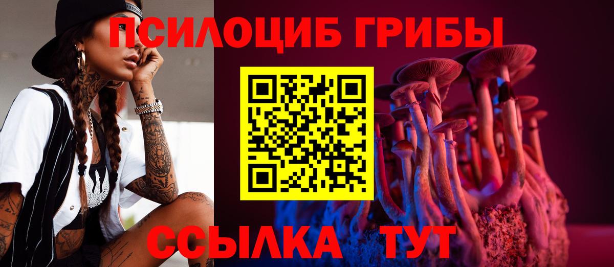 Петропавловск-Камчатский  Псилоцибиновые грибы GOLDEN TEACHER  Вход с VPN  Псилоцибиновые грибы ЛСД 